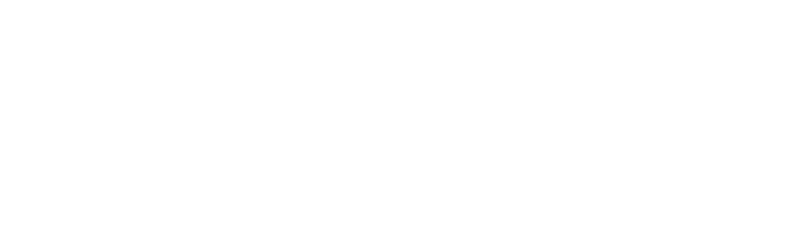 The Point Logo White